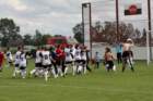img_3230_small.jpg